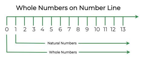 Whole Number Definition Symbol Examples What Are Whole Numbers