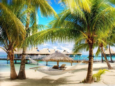 Check spelling or type a new query. TROPICAL WALLPAPERS 2016 - Wallpaper Cave