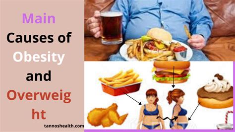 Here Are Causes Of Obesity And Overweightthe Causes Of Your Overweight