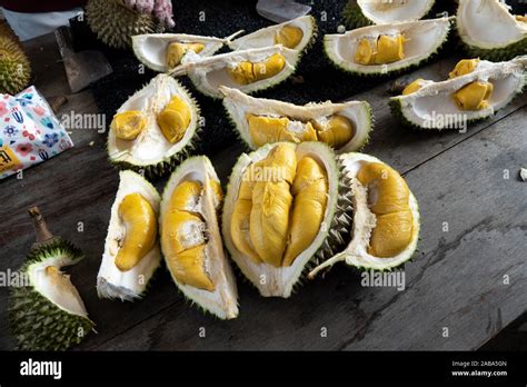 A closeup shot of durian 'Musang King' at River Hill Resort, Raub