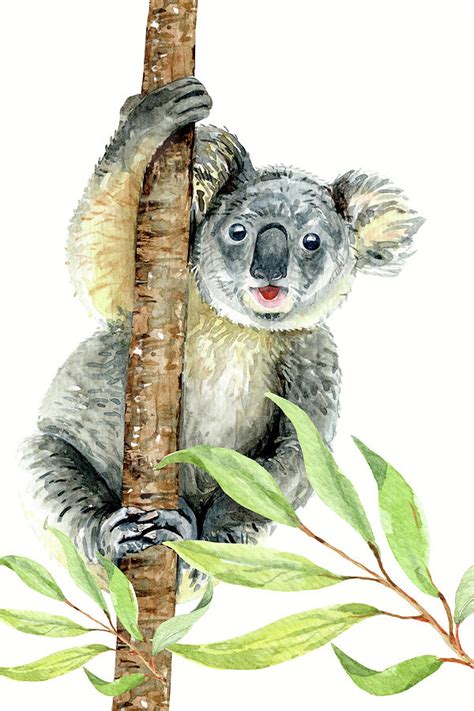 Cute Koala Watercolor Nursery Decor Painting By Vincent Monozlay Pixels