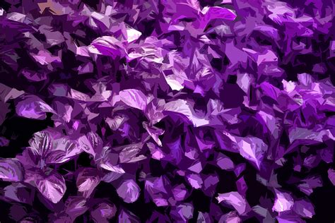 Abstract Purple Digital Art By Serene Maisey