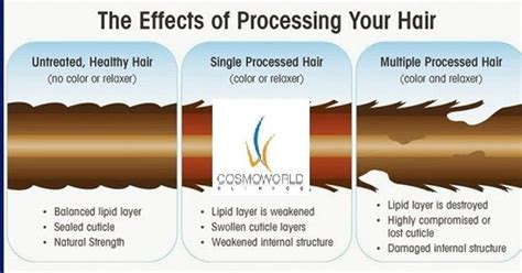 Lighten hair without bleach or hair dye. Cosmoworld Clinics: Does bleach cause harm to your hairs