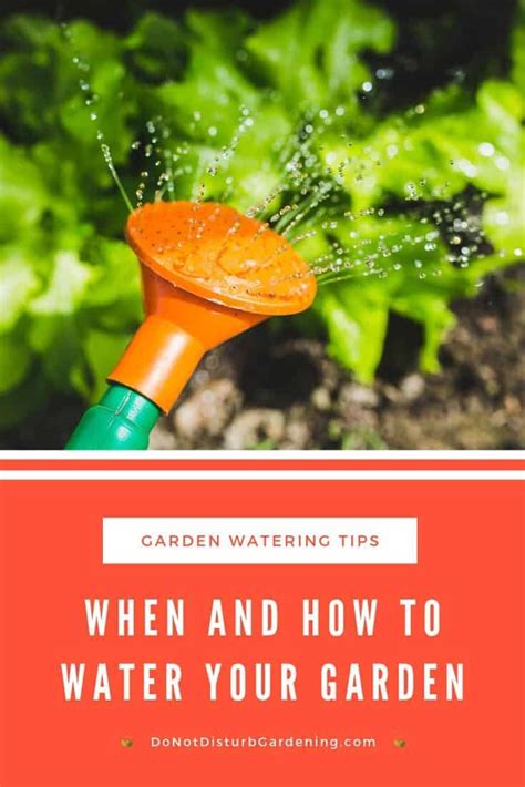 Watering Your Garden When How Often And How Much Do Not Disturb