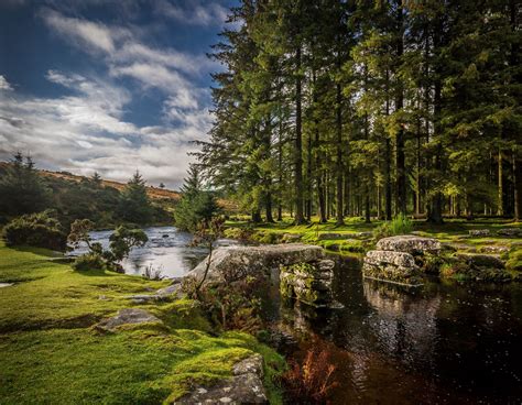 Bellever Forest Dartmoor Dartmoor National Park Places To Visit Uk