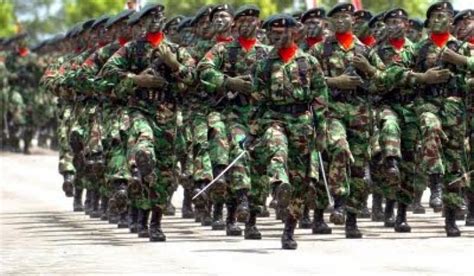 Peran TNI dalam Profesi Militer dan Keamanan Negara