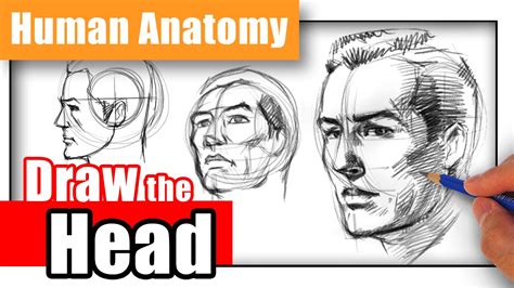 How To Draw The Head Youtube