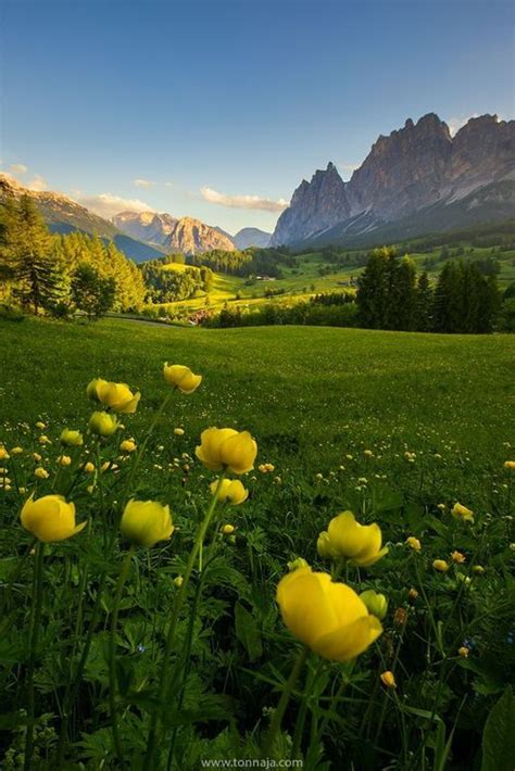 Dolomite Mountains In Summer Nature Nature Photography Beautiful
