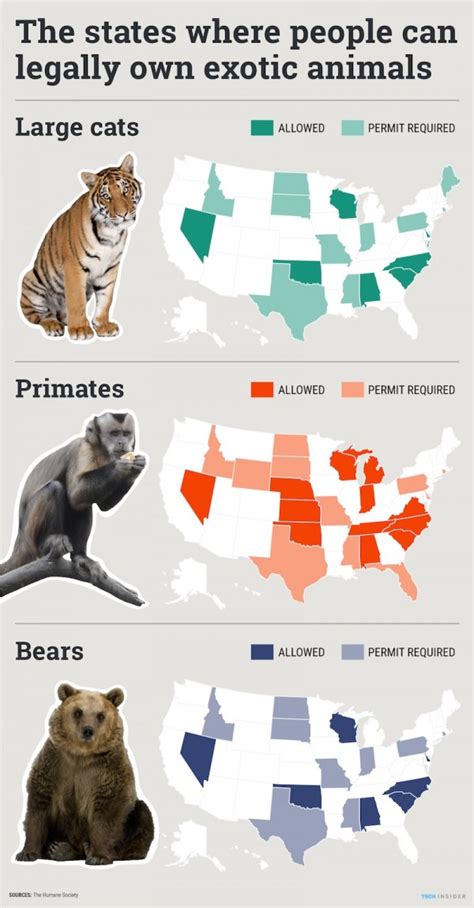 Us States That Allow You To Keep Tigers Monkeys And
