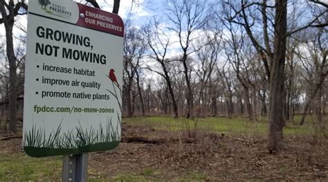 Forest Preserves In The Age Of Climate Crisis The Mike Nowak Show