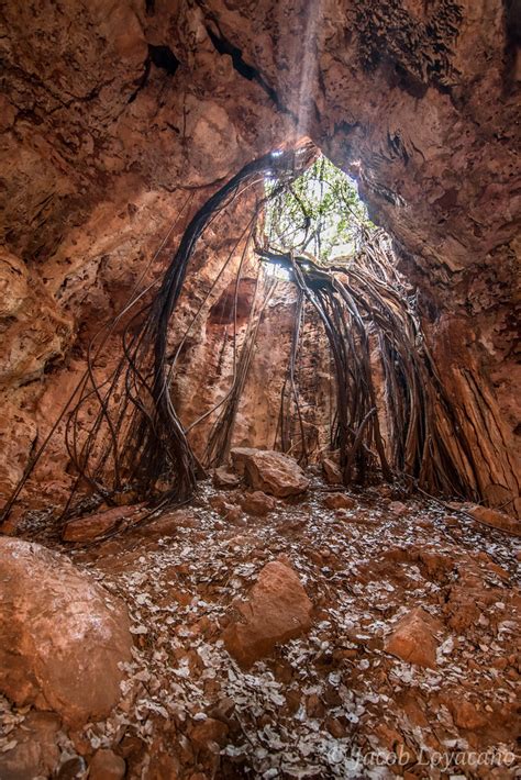 Fig Tree Cave Fig Tree Cave Is Off The Beaten Path South O Flickr
