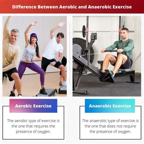Diferença Entre Exercícios Aeróbicos E Anaeróbicos