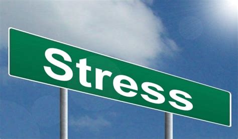 Stress Overview Disease Prevention And Healthy Lifestyles