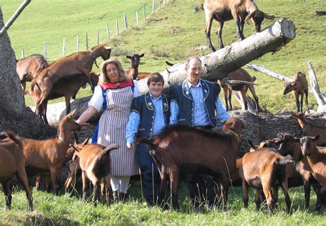 A Visit To The Goat Farm Switzerland Tourism
