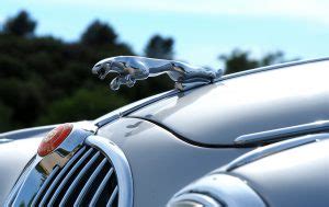 Retail/loan and lease accounts are owned by chase. Autokredit bei der Jaguar Bank kann ungültig sein: Jetzt ...