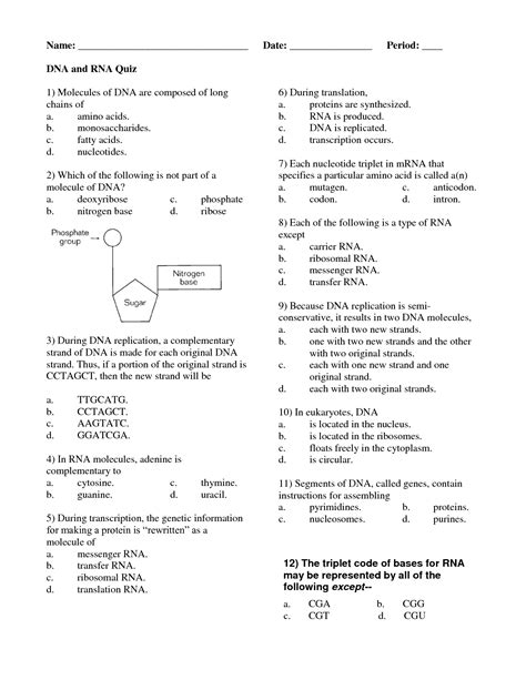 They also practice the base pair rule in transcribing dna to rna. 17 Best Images of DNA Worksheet Printable - DNA RNA ...