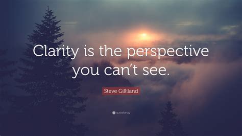 Steve Gilliland Quote Clarity Is The Perspective You Cant See