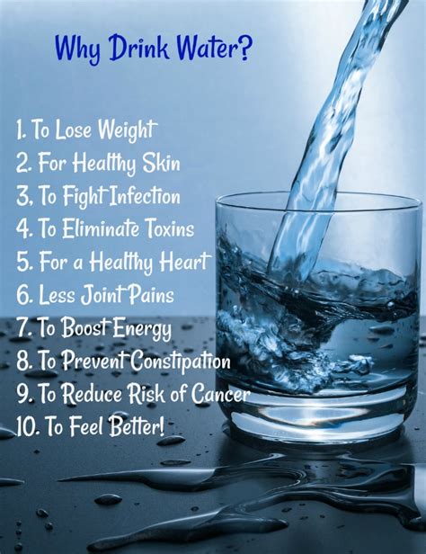 Drink More Water Why The Body Needs It Jess Explains