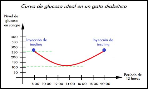 Salud Minina Control De La Diabetes