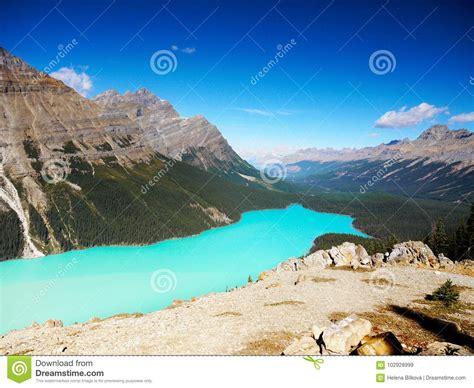 Peyto Lake Banff National Park Canadian Rockies Stock Image Image