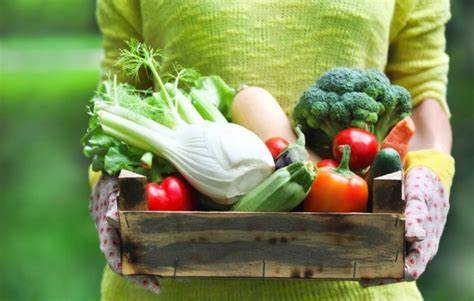 Меню диета овощная Овощная диета – продукты доступные, результат достойный. Как правильно Овощная диета – продукты доступные, результат достойный. Как правильно Меню диета овощная