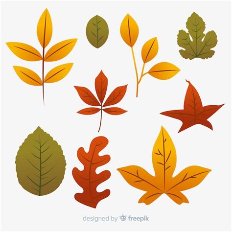 Free Vector Autumn Leaves Collection Flat Design