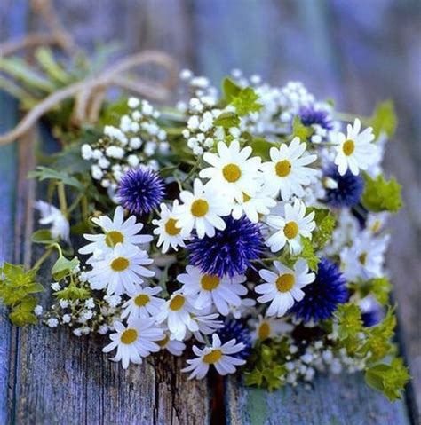 Flowers White Purple
