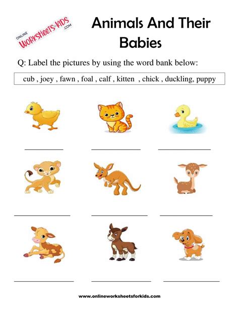 Animal And Their Babies Worksheet For Grade 1 3