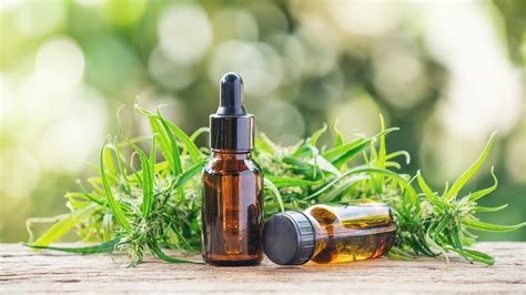 Can Cbd Oils Be Used As Treatment Civiq Health