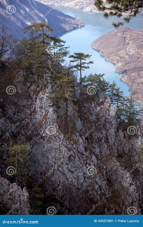 Viewpoint Banjska Rock At Tara Mountain Looking Down To Canyon Of Drina