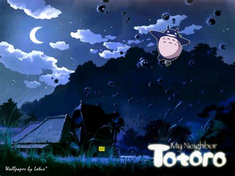 Totoro My Neighbor Totoro Photo Fanpop