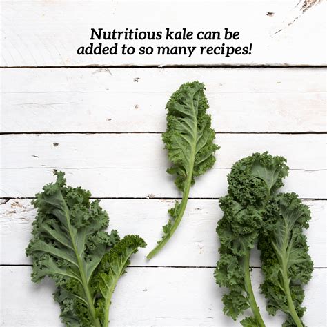 Food Facts Kale Apple And Eve