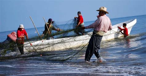 Desarrollo De Pesca Sustentable En México Podría Salvar