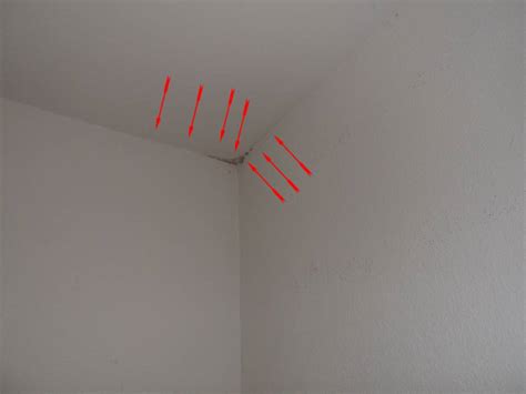 Lies hier sieben einfache tipps. SCHIMMEL WOHNUNG - überall Schimmelbefall - GUTACHTEN