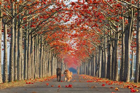 28 Magical Paths Begging To Be Walked Aesthesiamag