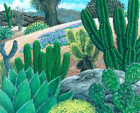 Besides good quality brands, you'll also find plenty of discounts when you shop for cactus cross stitch during big sales. Cactus Cross Stitch from DMC - SASHIKO SOUTHWEST Sashiko ...
