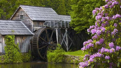 Watermill Full Hd Wallpaper And Background Image 1920x1080 Id402730