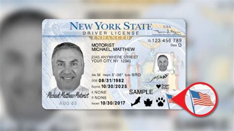 New York City Department Of Motor Vehicles Driver License