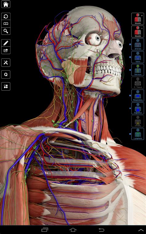 Essential Anatomy 3 Amazonde Apps Für Android