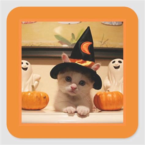 Happy Halloween Cute Cat And Witch Hat Orange Square Sticker Zazzle