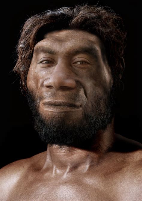 Homo Erectus — John Gurche Paleo Artist Ancient Humans Ancient People