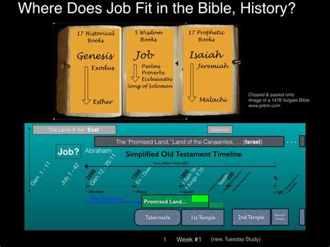 15 Best Job Kjv Images On Pinterest Bible Verses Scripture Verses