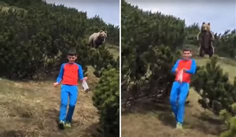Watch This Boys Shocking Brown Bear Encounter And His Perfect Reaction