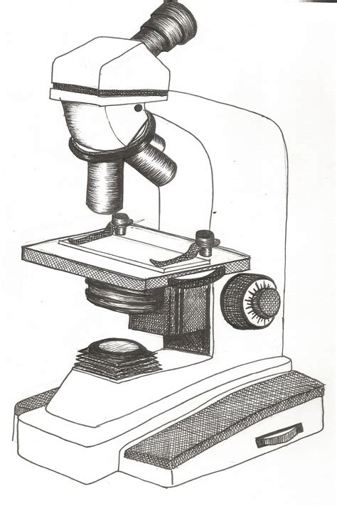 Microscope Drawing Easy With Label Micropedia
