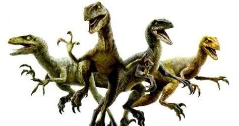 ‘jurassic World Meet Chris Pratts Raptor Squad Jurassic World Pictures New Jurassic World
