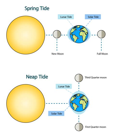 Tidal Range And The Rule Of Twelfths