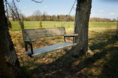 Swingin' is all about havin' fun, but there's nothing fun about compromising the health of your tree and having to deal another option is drilling into the branch and popping in eye bolts to hang the rope. Comfortable Swing Bench Between Two Trees Stock Image ...