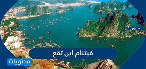 كل شيء تحبه في سوق.كوم الان اصبح على أمازون السعودية. اين تقع فيتنام - موقع محتويات