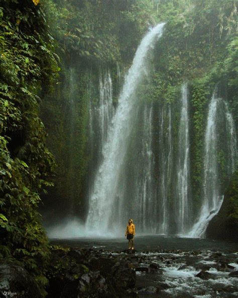 Sendang Gile And Tiu Kelep Waterfall Trekking Trip From Lombok Klook