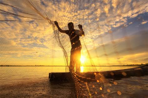 Pesca Sostenible Tiene Impacto Positivo En El ámbito Social Económico